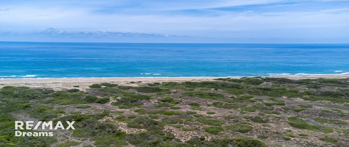 Foto de terreno habitacional en venta en cabo rojo , cabo rojo (novillos) [ganadera], tampico alto, veracruz de ignacio de la llave, 25315223 No. 05